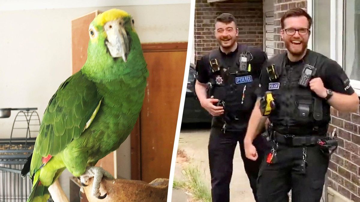 Policisté spěchali k ženě volající o pomoc, na místě našli papouška